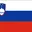 Slovenia flag